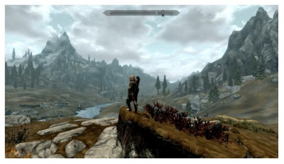  Bethesda Softworks The Elder Scrolls V: Skyrim