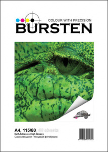    BURSTEN  A4 115/80 - 