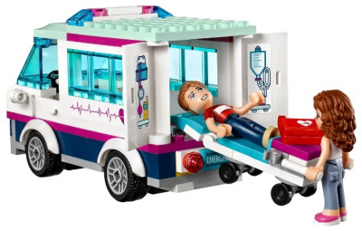    LEGO Friends 41318 - 