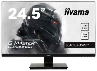    Iiyama G2530HSU-B1 black - 