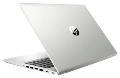  HP ProBook 450 G6 (8AC17ES), silver