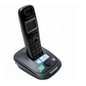    DECT Panasonic KX-TG2521RUT Black/Graphite - 