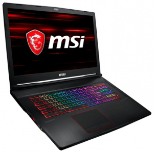  MSI GE73 Raider RGB 8RF-096XRU Black