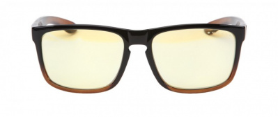      Gunnar Intercept 24K Dark Ale - 