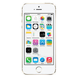    Apple iPhone 5S 16Gb ( ), Gold - 