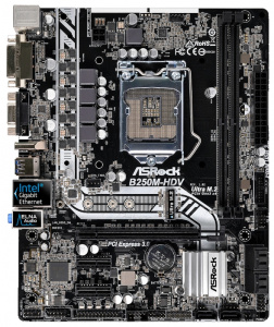   ASRock B250M-HDV