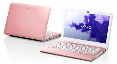  Sony VAIO SVE1111M1R/P