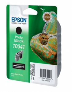     Epson T0341, photo black - 
