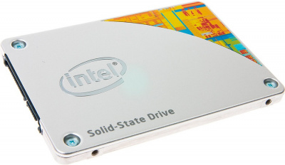 SSD- Intel SSDSC2BW360H601