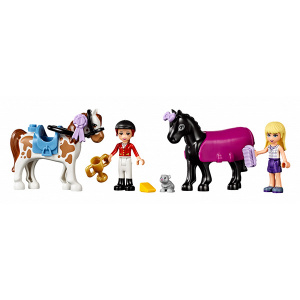    LEGO Friends  - 