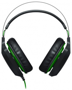     Razer Electra V2 USB black/green - 