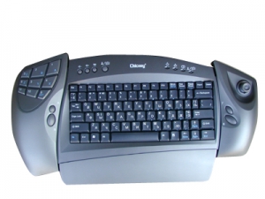    Chicony Multimedia KBP-0250 - 