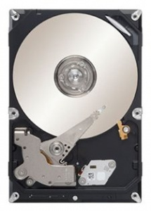   Seagate ST500VM000 500Gb