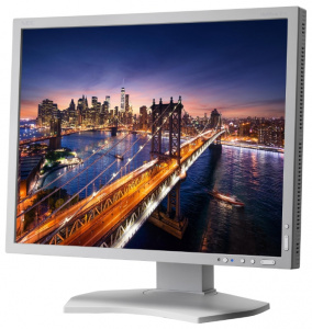    NEC MultiSync P212 white - 