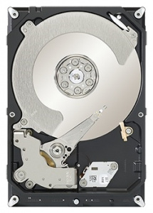   Seagate ST1000DX001