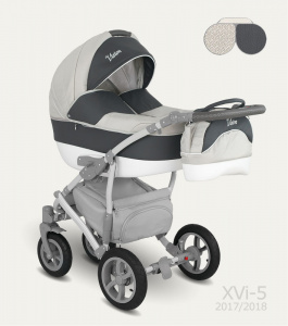    2--1 Camarelo Vision XVI-5 grey/dark grey - 