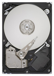   Seagate 500Gb ST500DM005