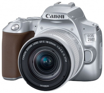     Canon EOS 250D Kit (EF-S 18-55mm IS STM), Silver - 