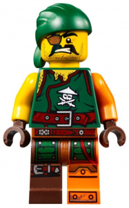    LEGO Ninjago    (70604) - 