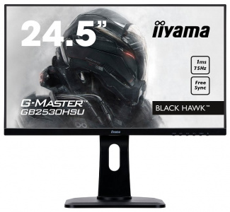    Iiyama GB2530HSU-B1 black - 
