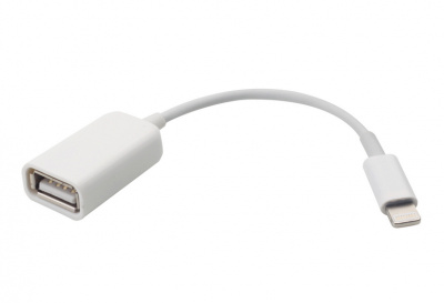  Lightning (M)  USB (F) 0.2