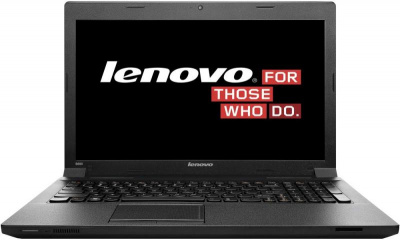  Lenovo B590 Black (59381366)