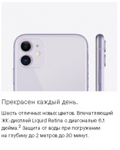    Apple iPhone 11 256Gb (MWM72RU/A) black - 