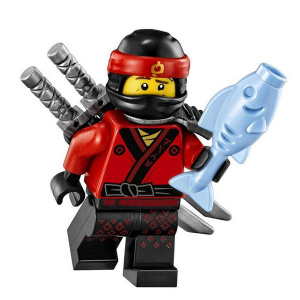    LEGO Ninjago 70611 - 