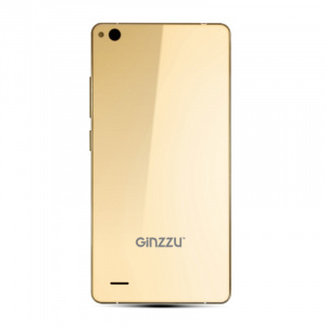    Ginzzu S5050 2/16Gb, hampagne - 