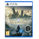 ���� Hogwarts Legacy PS5, Russian subtitles