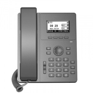   VoIP- Flyingvoice P10W grey - 