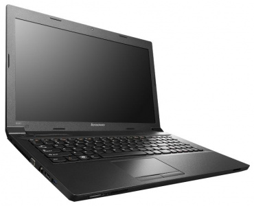 Ноутбук Lenovo IdeaPad B590 (59397711) Black