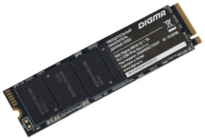 SSD- Digma 1  DGSM3001TS33T