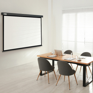 ���� ������ ����� ��� ��������� Cactus Wallscreen CS-PSW-127X127-SG 127x127�� gray ��������-�������� ������������