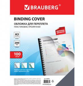    BRAUBERG, 530936 100  - 