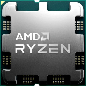 AMD RYZEN 9 9900X3D OEM (100-000001368)