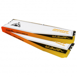   Patriot 2x24GB DDR5 DIMM 6000MHz PVER548G60C36KT