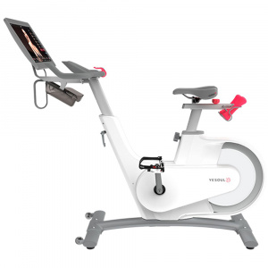 ���� ������ ������������ DFC Yesoul BV1-W-21.5, white ��������-�������� ������������