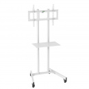  Cactus CS-ST04, 37"-70", white