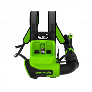     Greenworks GD40BPG2 2408107     - 