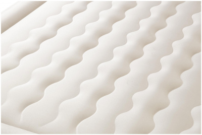 ���� ������ ������� �������� Bestway 69050 BW Fortech Airbed 203x152x46 �� ��������-�������� ������������