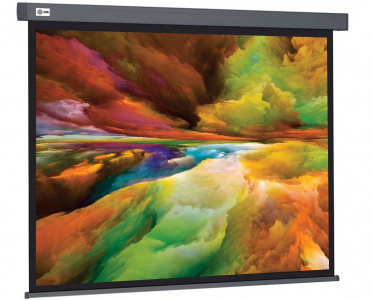 ���� ������ ����� ��� ��������� Cactus 152x203�� Wallscreen CS-PSW-152X203-SG grey ��������-�������� ������������