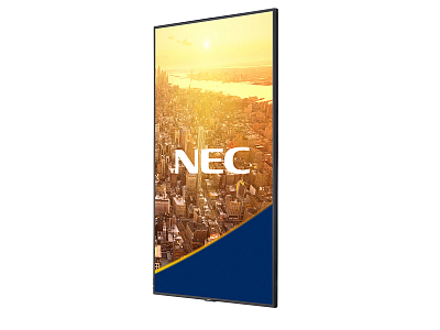     NEC MultiSync C501 - 