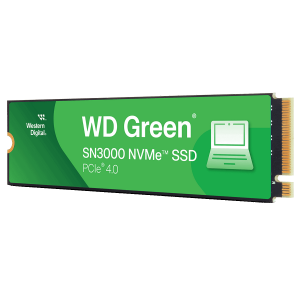 SSD-���������� WD Green SN3000 (WDS100T4G0E) ������, 1000GB