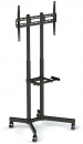  Arm Media PT-STAND-7 black