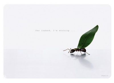 ���� ������ ������ ��� ���� Speedlink Silk MousePad (Working Ants) ��������-�������� ������������