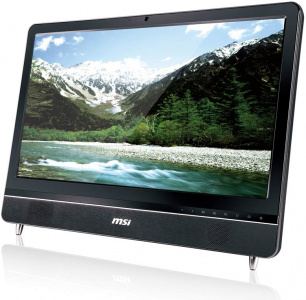 ���� ������ �������� MSI AE2220-282RU ��������-�������� ������������