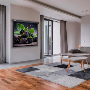 ���� ������ ����� ��� ��������� Cactus Wallscreen CS-PSW-127X127-SG 127x127�� gray ��������-�������� ������������