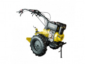   Champion DC1193E yellow