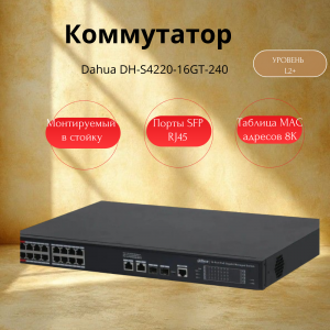 ���������� Dahua DH-S4220-16GT-240